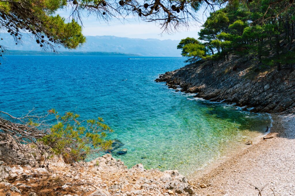 Dalmatinische Bucht mit Pinien und türkisfarbenem Wasser an der Adria in Kroatien