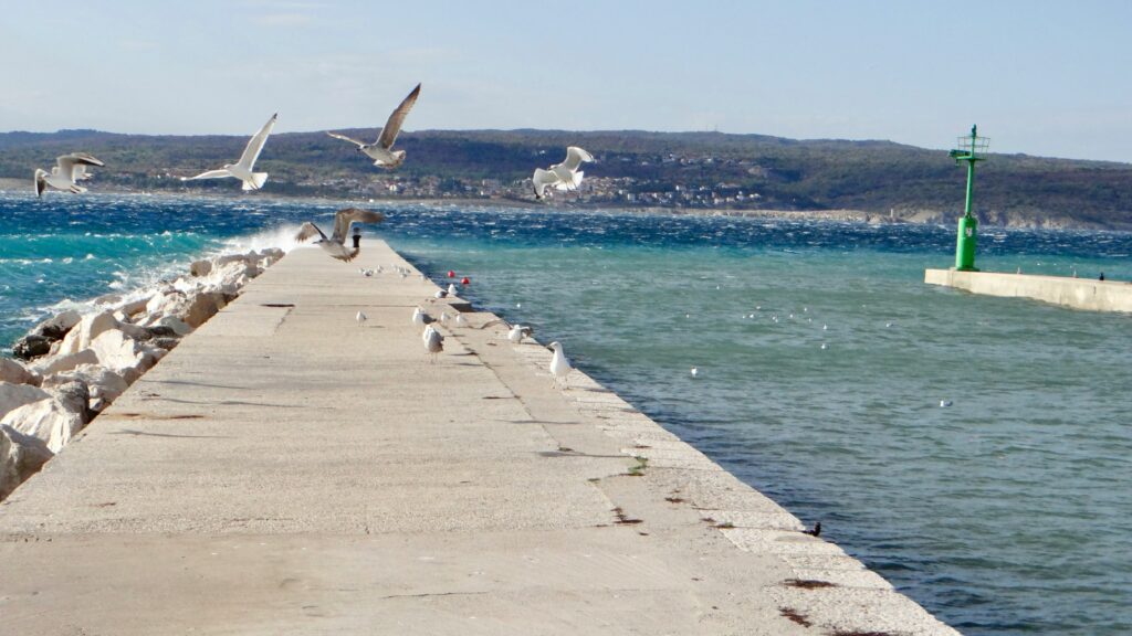 Möven über der Mole in Crikvenica an der kroatischen Adriaküste bei starkem Wind, der Bura.