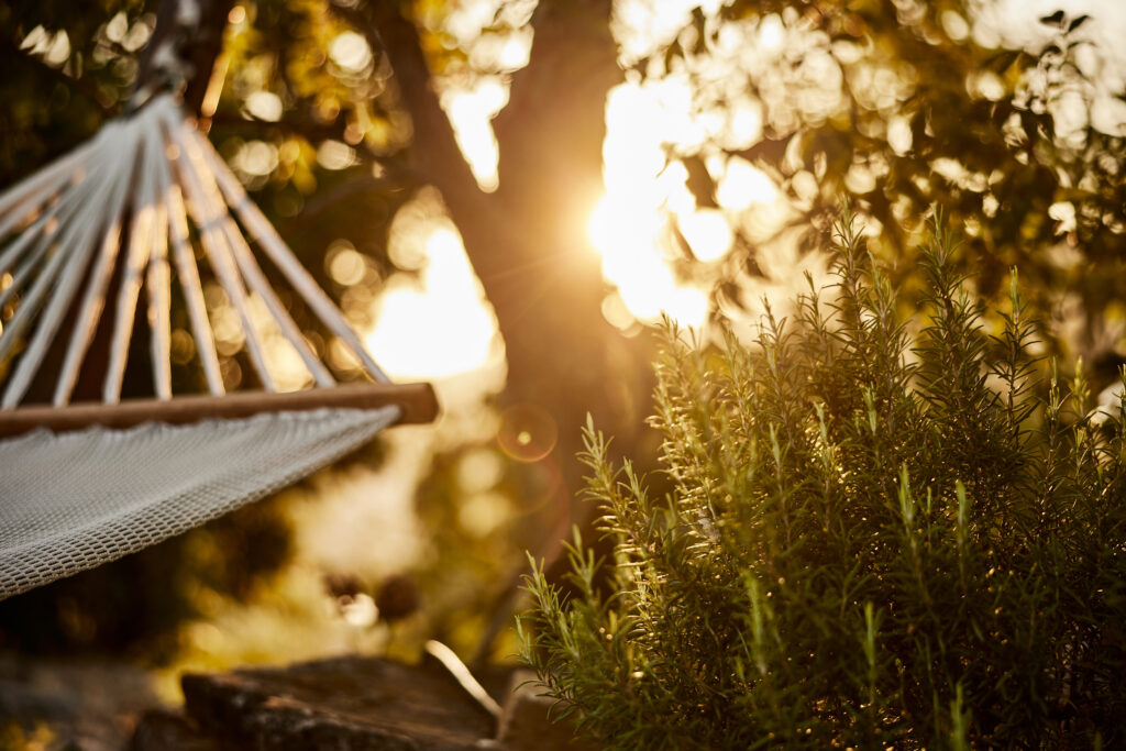 Hängematte im Schatten von Bäumen am Abend beim Sonnenuntergang, Sinnbild für Ruhe und Entspannung.