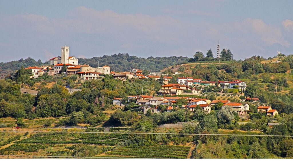 Hügellandschaft im Hinterland von Istrien mit kleinem Ort und Weinbergen