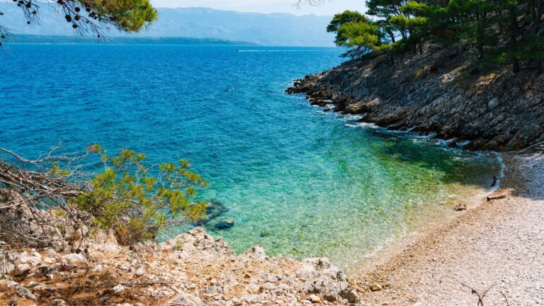 Kleine Badebucht mit klarem türkisfarbenem Wasser, hellem Kiesstrand und Pinien bei Luna auf der Insel Pag in Kroatien