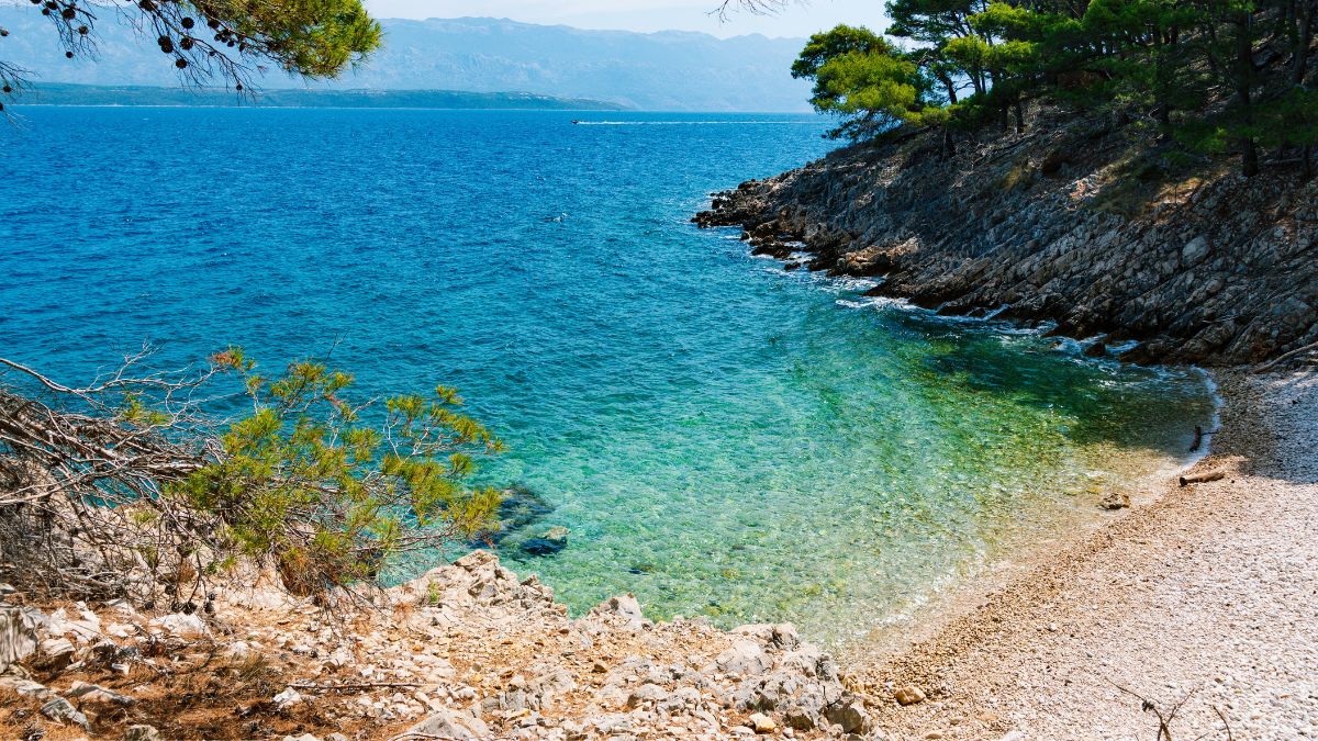 Kleine Badebucht mit klarem türkisfarbenem Wasser, hellem Kiesstrand und Pinien bei Luna auf der Insel Pag in Kroatien
