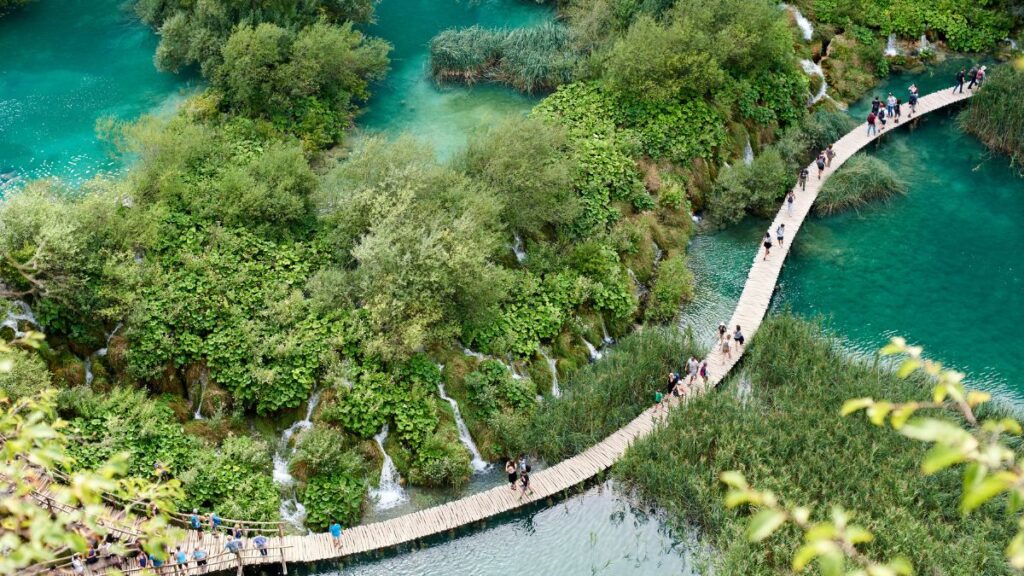 Holzweg durch die Plitvicer Seen in Kroatien mit grün schimmerndem Wasser, dichter Vegetation und Wasserläufen